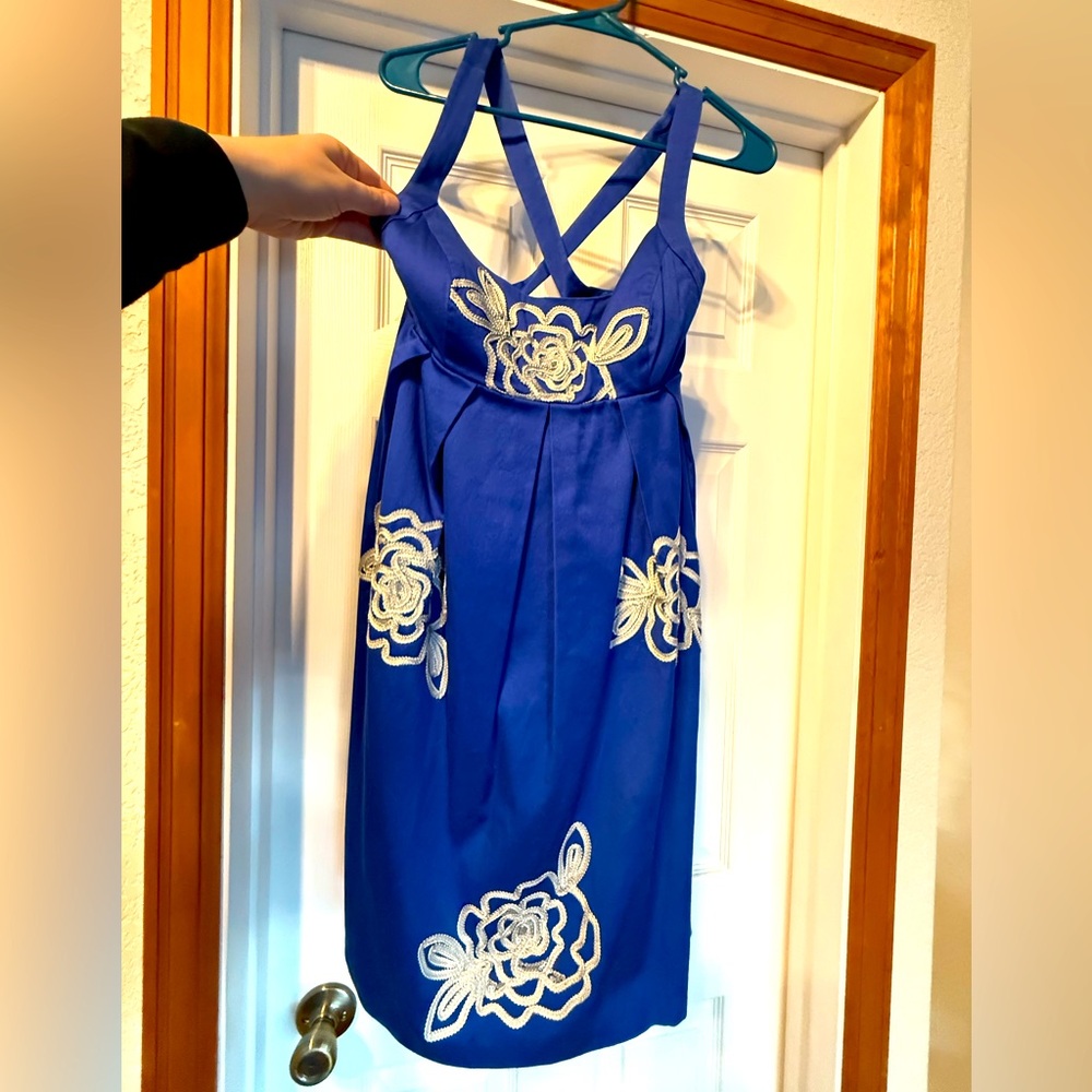 Blue Dress with silver Floral Embroidery